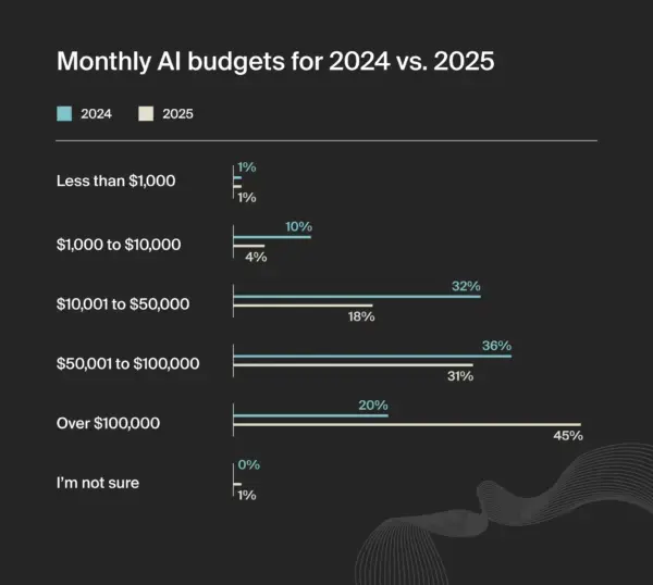 2024 - 2025 AI 预算