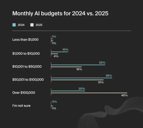 2024 - 2025 AI 预算