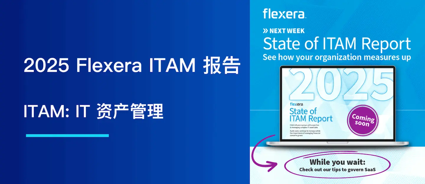 2025 Flexera ITAM 报告